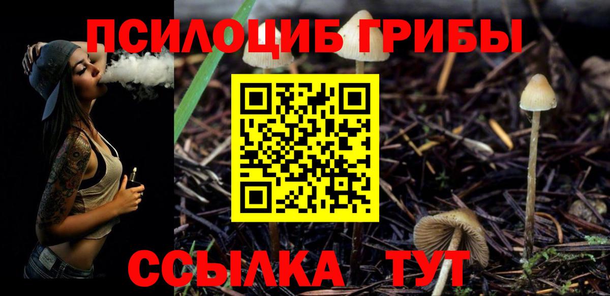 Соль-Илецк  Галлюциногенные грибы GOLDEN TEACHER  Псилоцибиновые грибы GOLDEN TEACHER  Вход с VPN 
